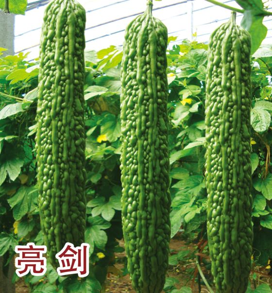 亮剑